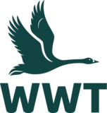 World Wide Technology